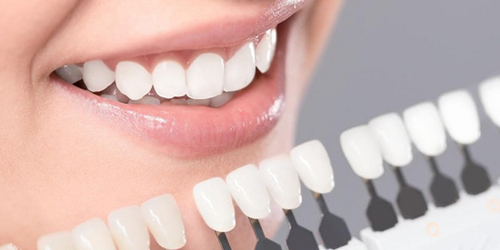 Terapija zobārstniecībā ir vissvarīgākā joma, kas ietver zobu ārstēšanu, plombēšanu un atjaunošanu, zobu ārējo defektu novēršanu, kariesa un tā komplikāciju (pulpīta, periodontīta) ārstēšanu. Zobu kanālu endodontiskā ārstēšana ar Leica stomatoloģisko mikroskopu, stipri bojātu zobu atjaunošana, zobu stiprināšana, izmantojot zobu tapas un sakņu inlejas, kā arī sagatavošanas darbi pirms  protezēšanas procedūrām.